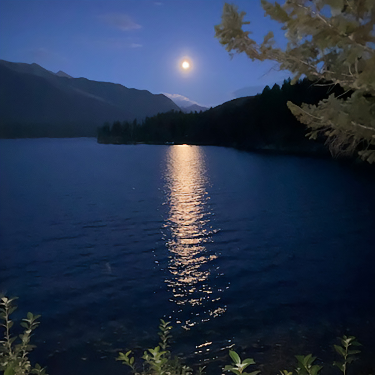 moonight on the water